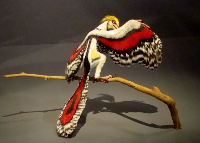 Reconstruction of an Archaeopteryx - Melbourne Museum